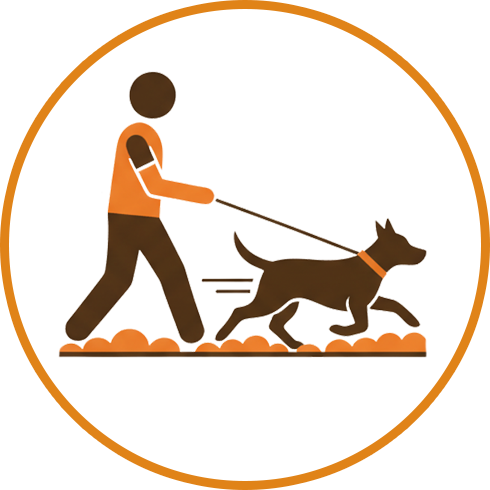Dog Walking